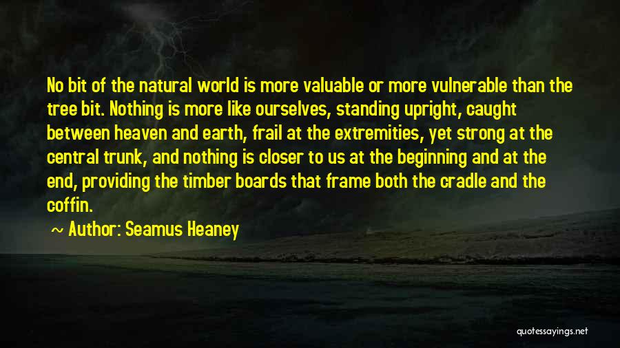 Standing Strong On Your Own Quotes By Seamus Heaney