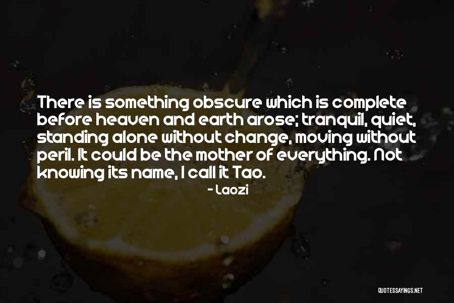 Standing Up For Change Quotes By Laozi Standing Up For Change Quotes By Laozi