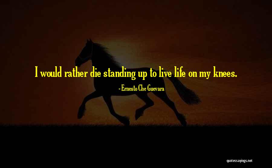 Standing Up Quotes By Ernesto Che Guevara