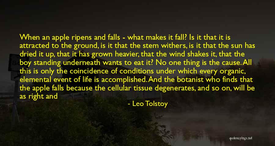 Standing Up Quotes By Leo Tolstoy Standing Up Quotes By Leo Tolstoy