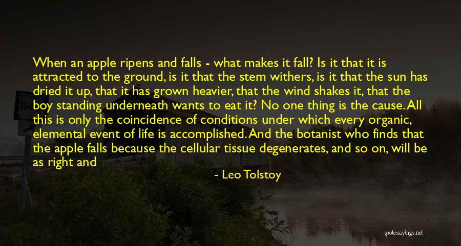 Standing Up Quotes By Leo Tolstoy