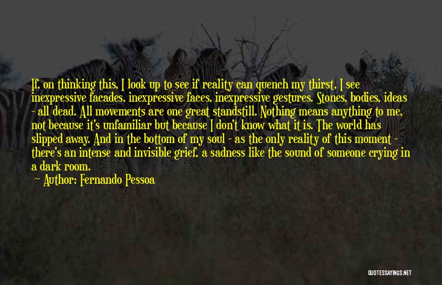 Standstill Quotes By Fernando Pessoa