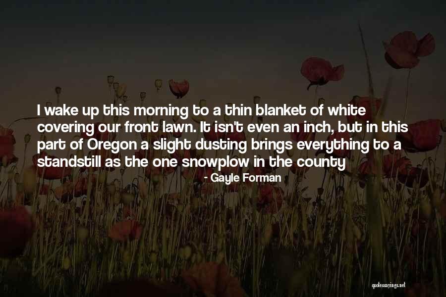 Standstill Quotes By Gayle Forman