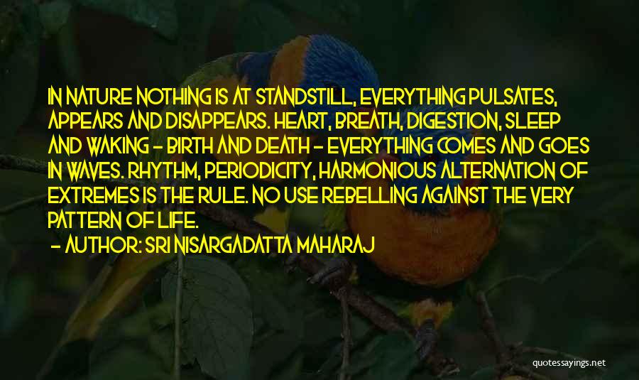 Standstill Quotes By Sri Nisargadatta Maharaj