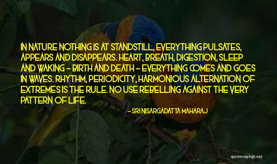 Standstill Quotes By Sri Nisargadatta Maharaj