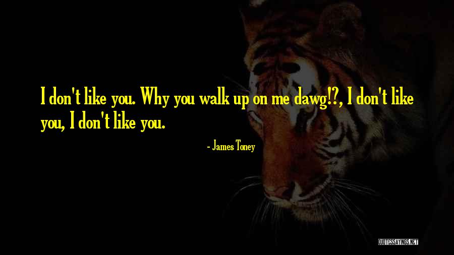 Stanganelli Erie Quotes By James Toney Stanganelli Erie Quotes By James Toney