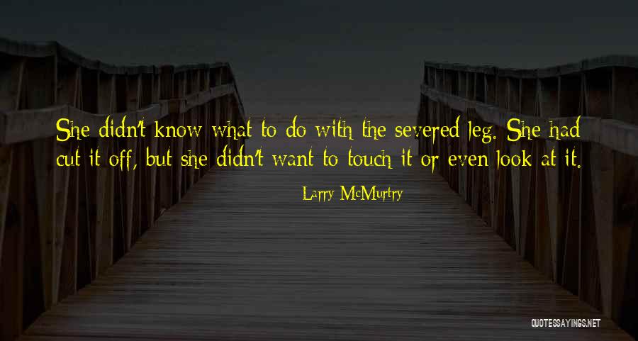 Stanisci Design Quotes By Larry McMurtry Stanisci Design Quotes By Larry McMurtry