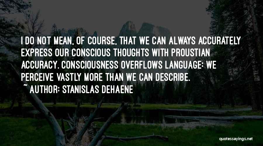 Stanislas Dehaene Quotes 1087775