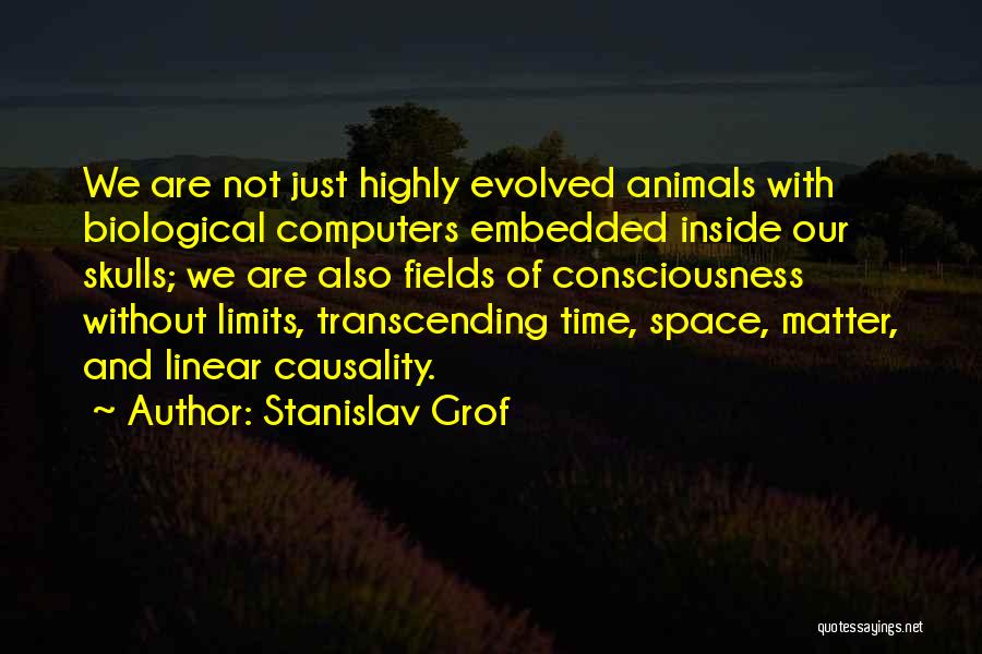 Stanislav Grof Quotes 378119