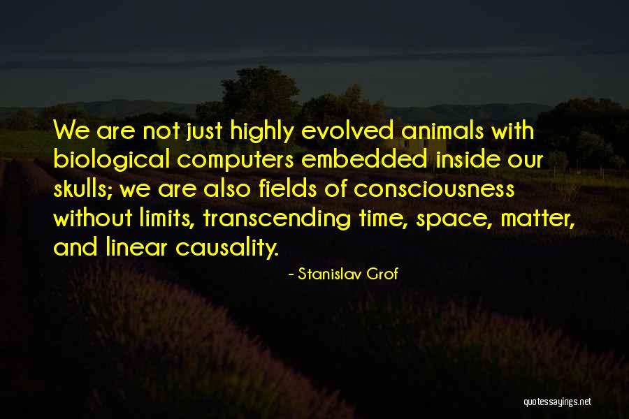 Stanislav Grof Quotes 378119