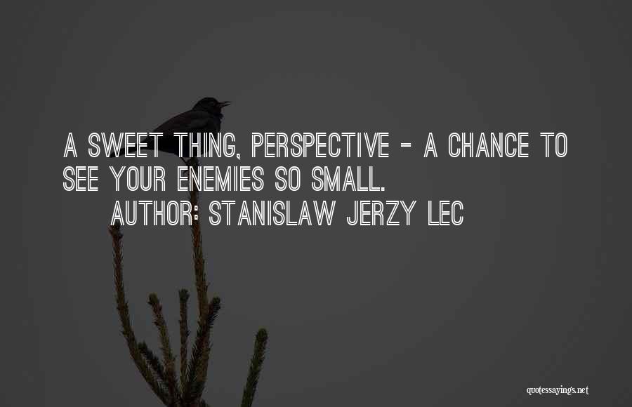 Stanislaw Jerzy Lec Quotes 417985