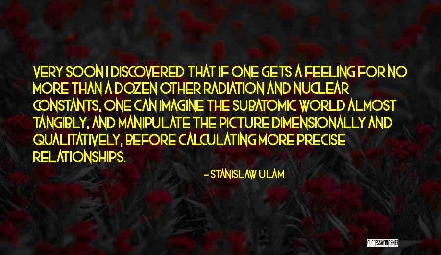 Stanislaw Ulam Quotes 1127659