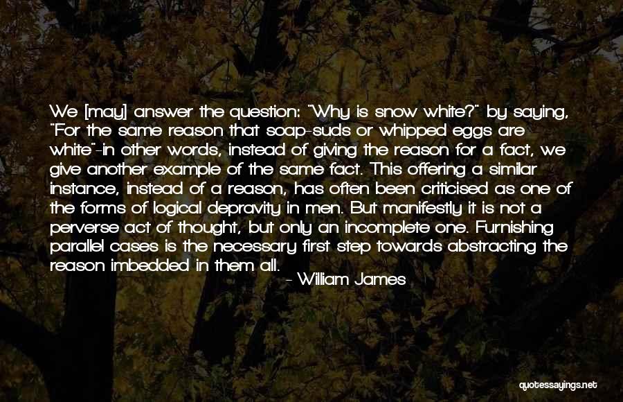 Stanislovas Narutavicius Quotes By William James Stanislovas Narutavicius Quotes By William James