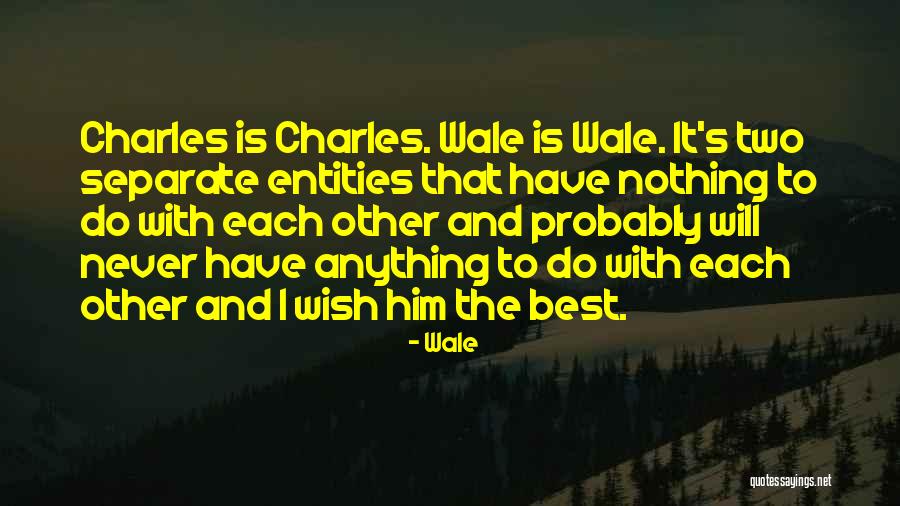 Stankewicz Quotes By Wale Stankewicz Quotes By Wale