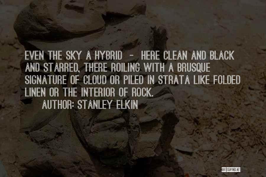 Stanley Elkin Quotes 1469128