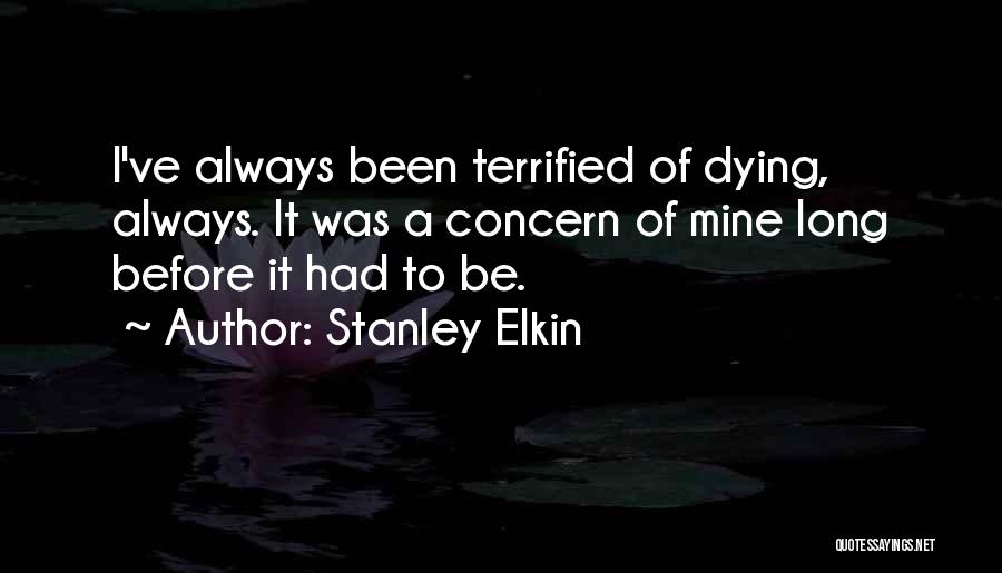 Stanley Elkin Quotes 193084