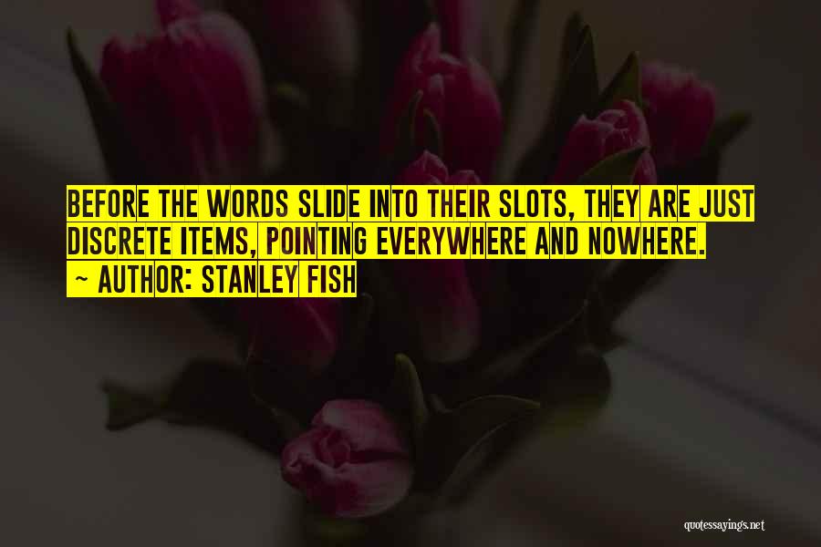 Stanley Fish Quotes 2136153