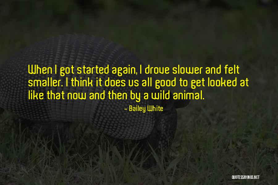 Stanowisko In English Quotes By Bailey White Stanowisko In English Quotes By Bailey White