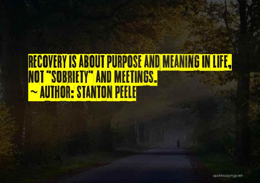 Stanton Peele Quotes 1692588