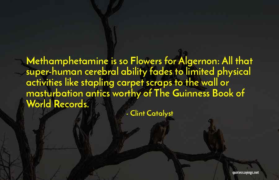 Stapling Carpet Quotes By Clint Catalyst Stapling Carpet Quotes By Clint Catalyst