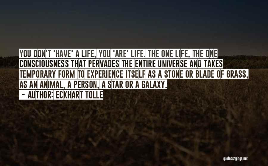 Star And Galaxy Quotes By Eckhart Tolle