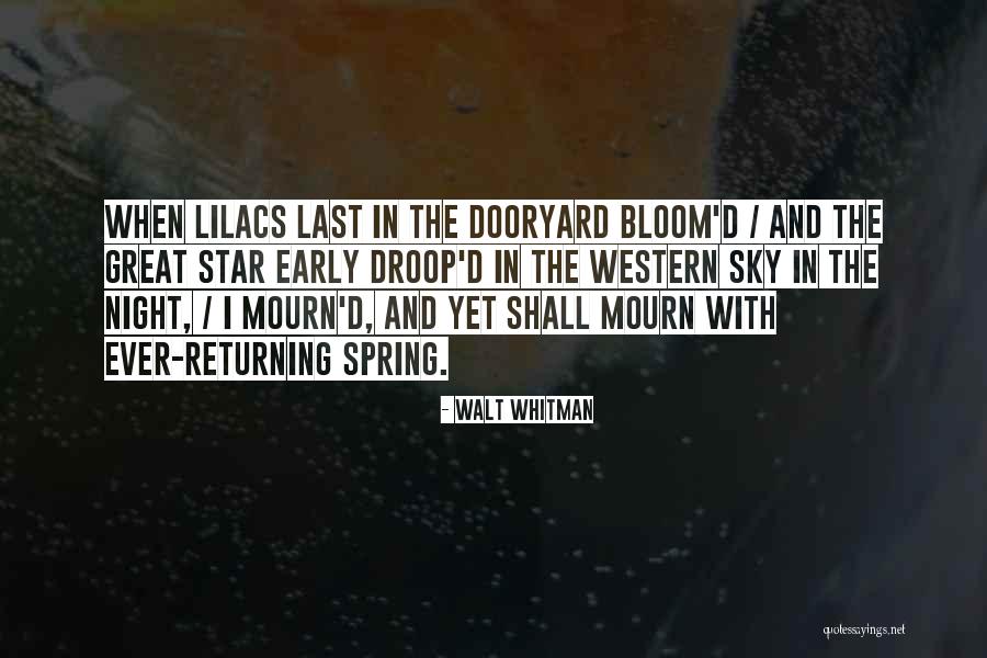 Star And Sky Quotes By Walt Whitman Star And Sky Quotes By Walt Whitman