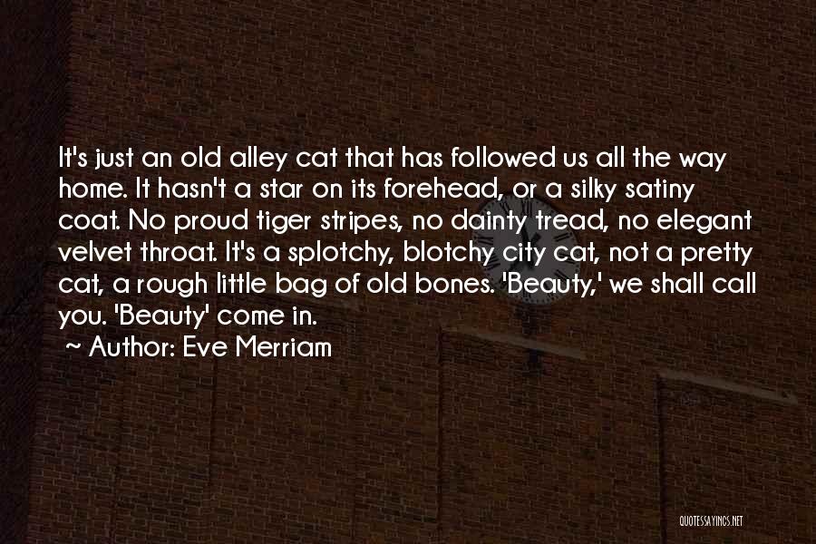 Star City Quotes By Eve Merriam