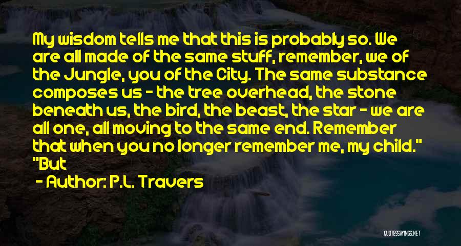 Star City Quotes By P.L. Travers