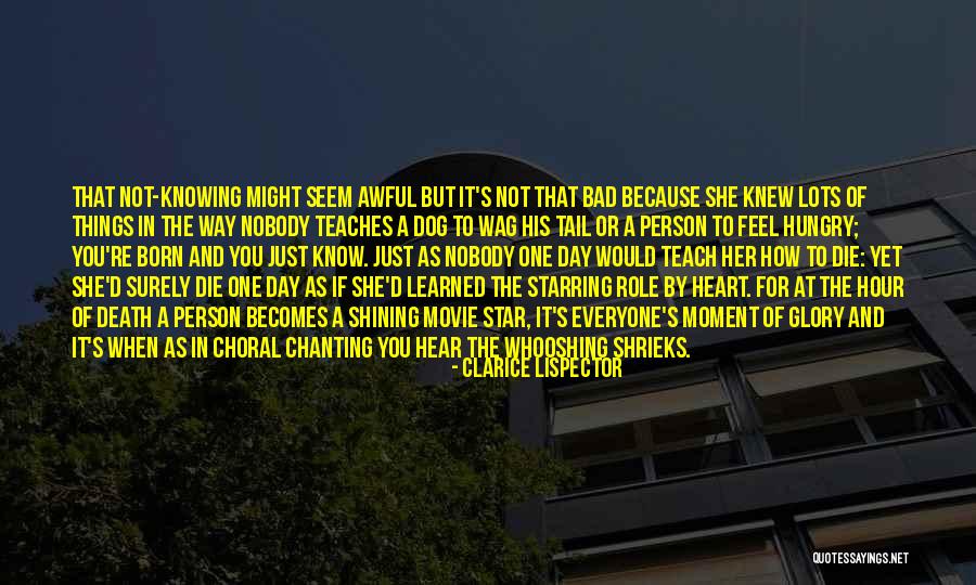 Star Death Quotes By Clarice Lispector Star Death Quotes By Clarice Lispector