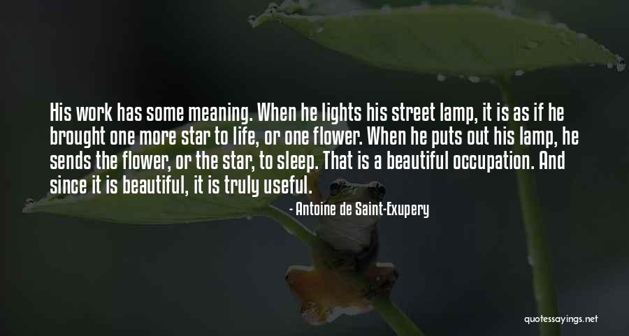 Star Flower Quotes By Antoine De Saint-Exupery