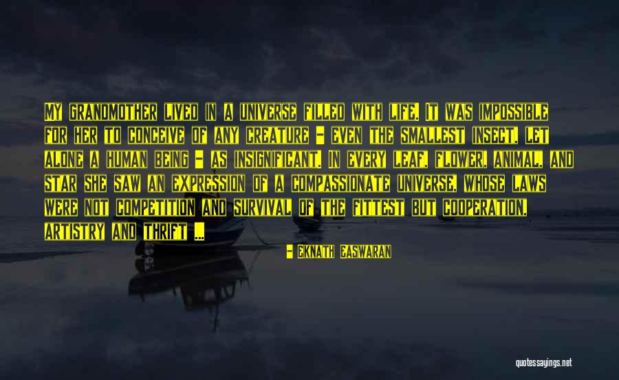 Star Flower Quotes By Eknath Easwaran Star Flower Quotes By Eknath Easwaran
