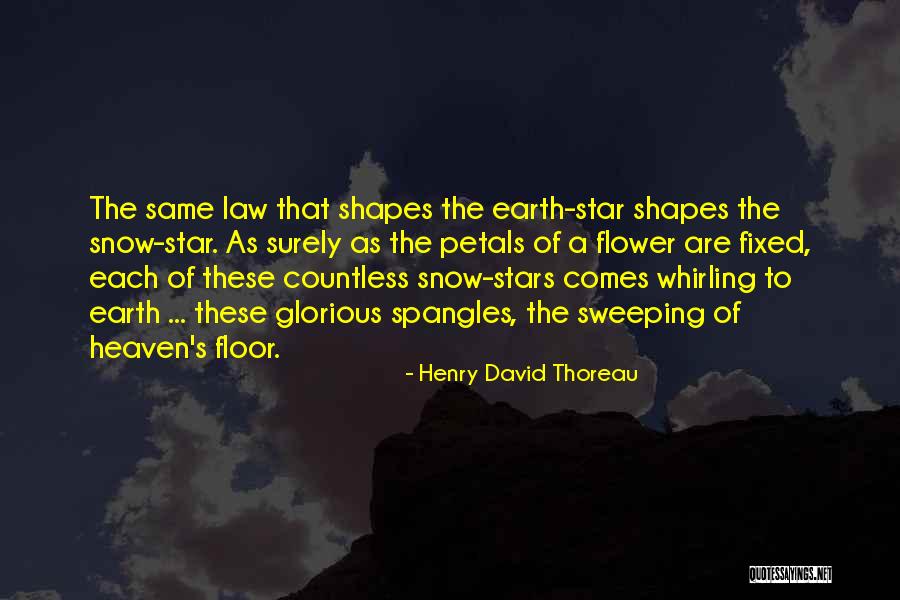 Star Flower Quotes By Henry David Thoreau