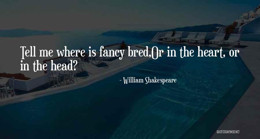 Star Fox Peppy Quotes By William Shakespeare Star Fox Peppy Quotes By William Shakespeare