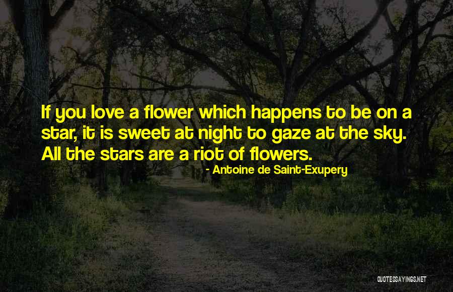 Star Gaze Quotes By Antoine De Saint-Exupery Star Gaze Quotes By Antoine De Saint-Exupery