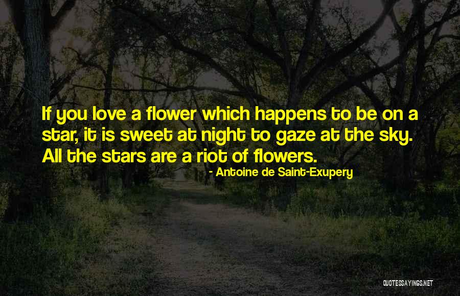 Star Gaze Quotes By Antoine De Saint-Exupery