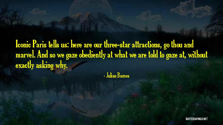 Star Gaze Quotes By Julian Barnes