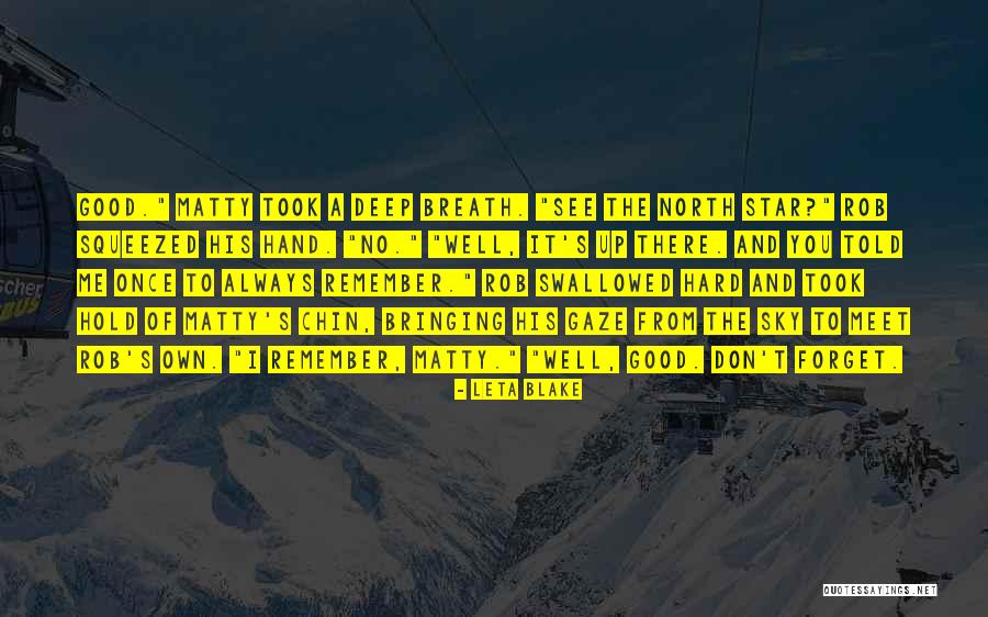 Star Gaze Quotes By Leta Blake Star Gaze Quotes By Leta Blake