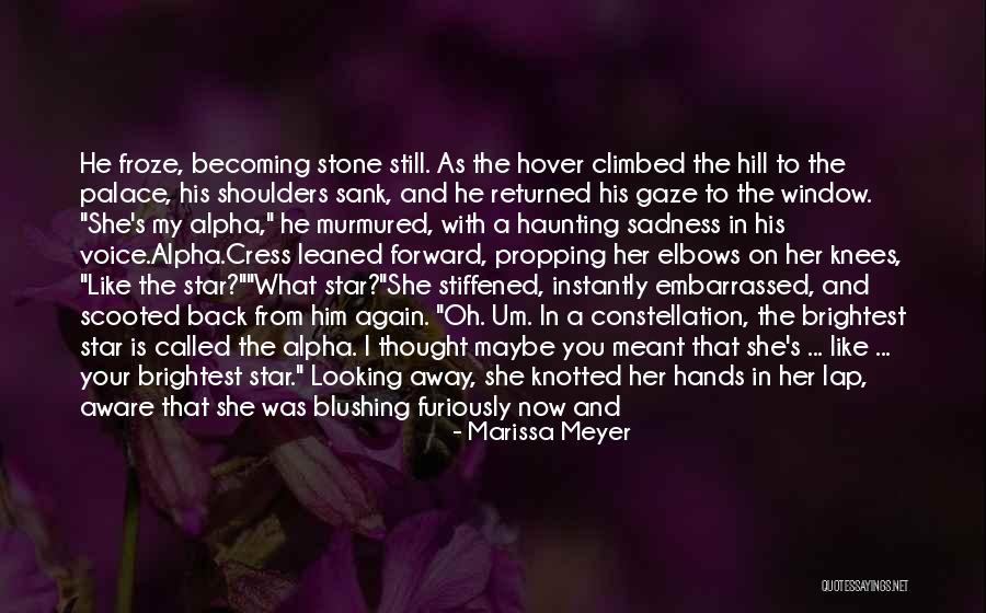 Star Gaze Quotes By Marissa Meyer