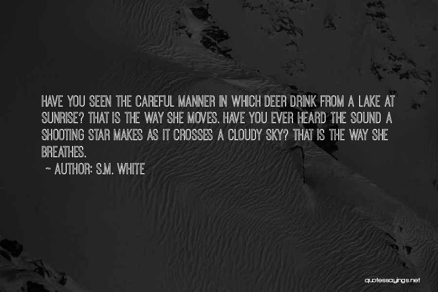 Star In Sky Quotes By S.M. White