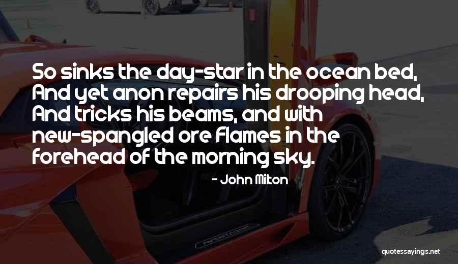 Star In The Sky Quotes By John Milton Star In The Sky Quotes By John Milton