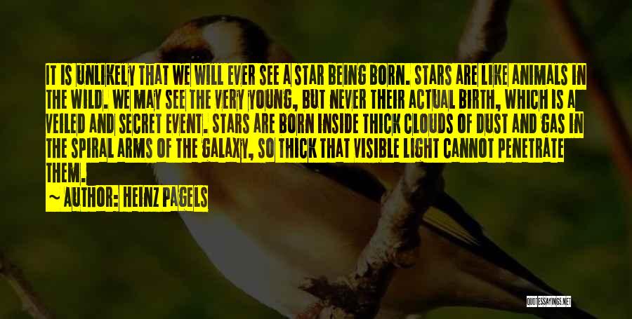 Star Is Born Quotes By Heinz Pagels