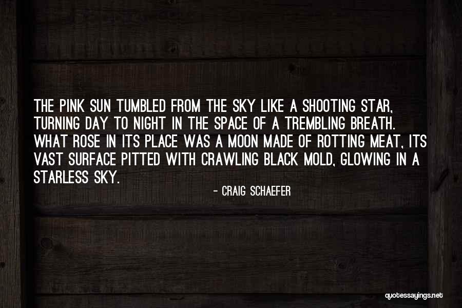Star N Moon Quotes By Craig Schaefer Star N Moon Quotes By Craig Schaefer