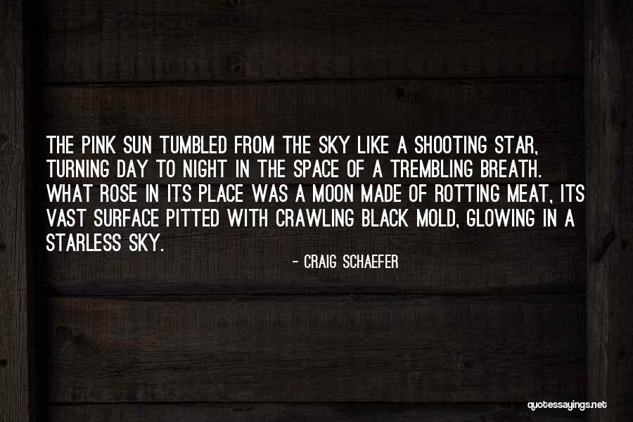 Star N Moon Quotes By Craig Schaefer