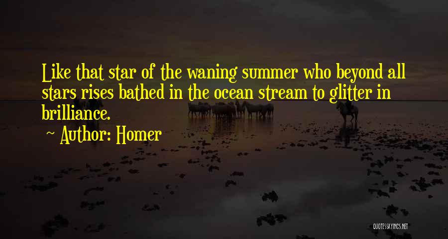 Star Ocean 3 Quotes By Homer