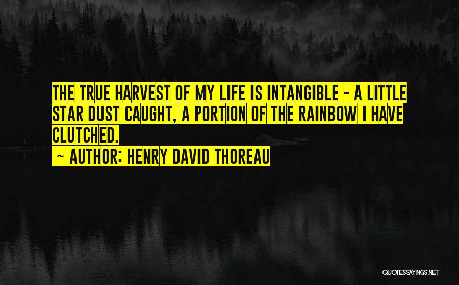 Star Of My Life Quotes By Henry David Thoreau