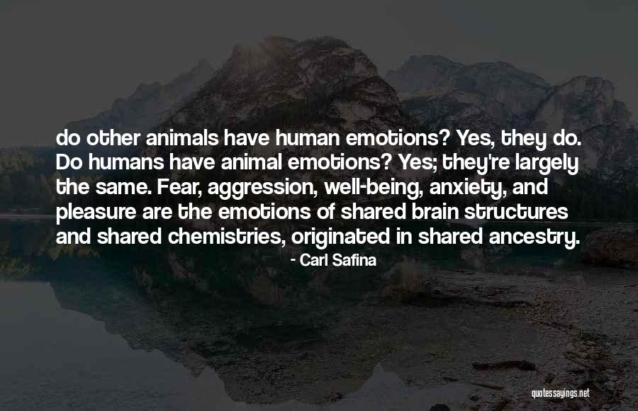 Star Renewal Quotes By Carl Safina Star Renewal Quotes By Carl Safina