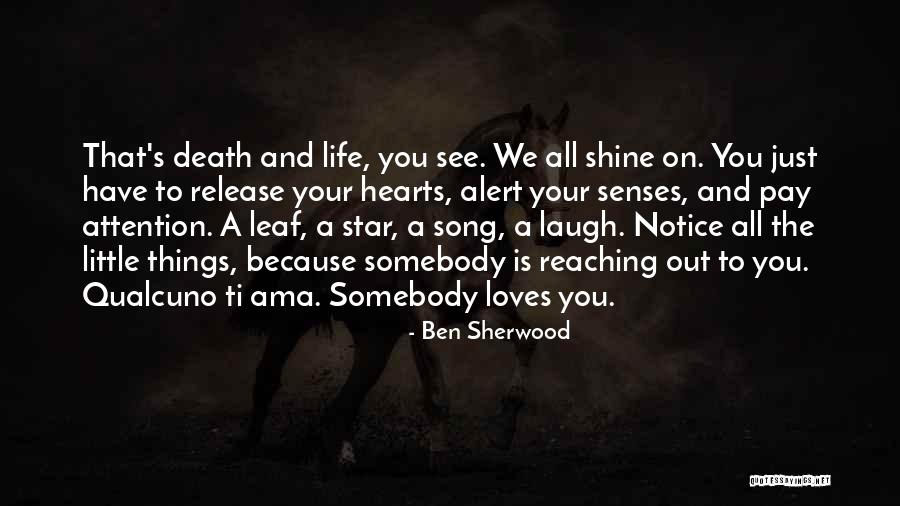 Star Song Quotes By Ben Sherwood