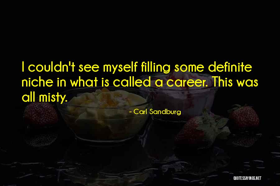 Star Trek Catspaw Quotes By Carl Sandburg Star Trek Catspaw Quotes By Carl Sandburg
