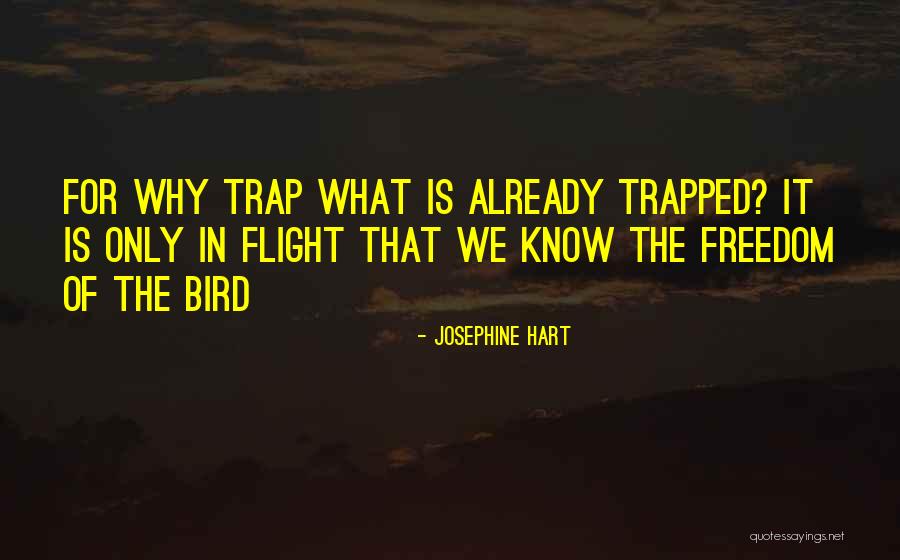 Starbucks And Police Quotes By Josephine Hart Starbucks And Police Quotes By Josephine Hart