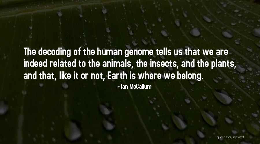 Starcevich Quotes By Ian McCallum Starcevich Quotes By Ian McCallum